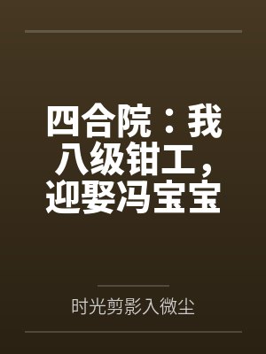 四合院：我八级钳工，迎娶冯宝宝by时光剪影入微尘